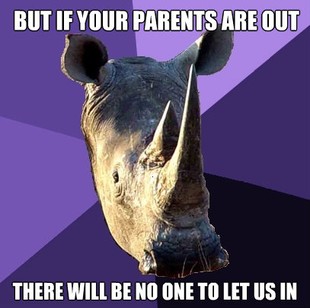 Sexually Oblivious Rhino