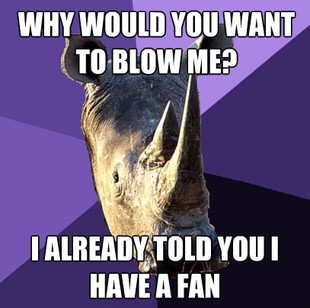 Sexually Oblivious Rhino