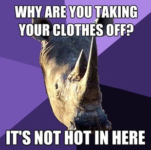 Sexually Oblivious Rhino
