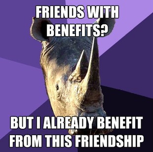 Sexually Oblivious Rhino