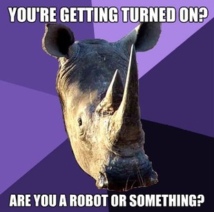 Sexually Oblivious Rhino