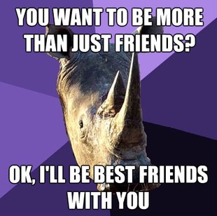 Sexually Oblivious Rhino