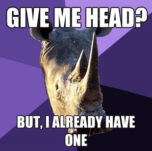 Sexually Oblivious Rhino