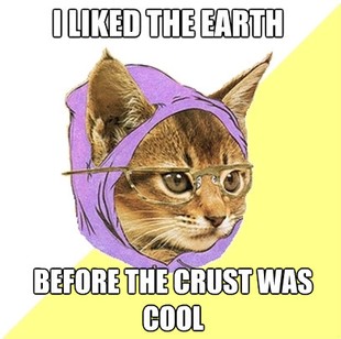 Hipster Kitty