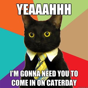 Business Cat