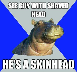 Skeptical Hippo