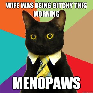 Business Cat