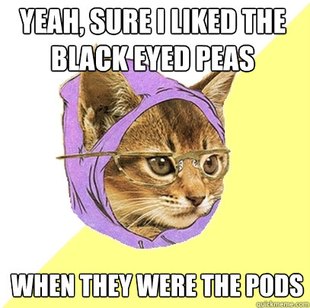 Hipster Kitty