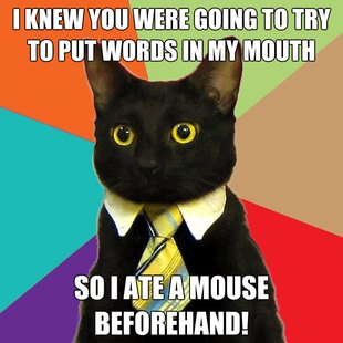 Business Cat