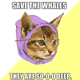 Hipster Kitty