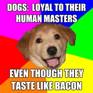 Advice Dog