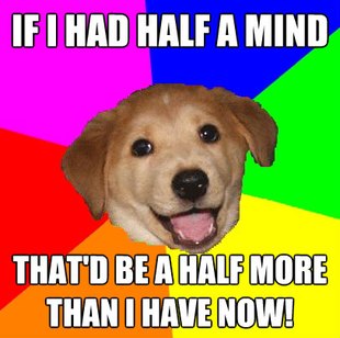 Advice Dog