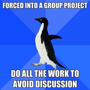 Socially Awkward Penguin