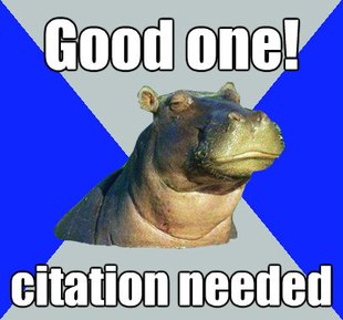 Skeptical Hippo
