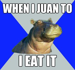 Skeptical Hippo