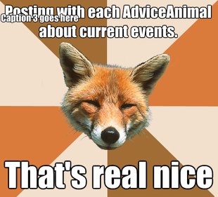 Condescending Fox