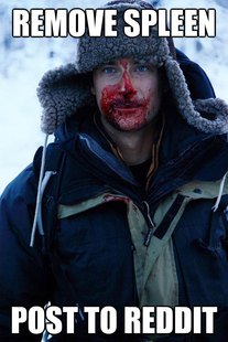 Bear Grylls