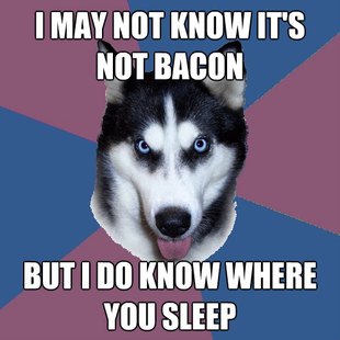Creeper Canine
