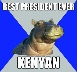 Skeptical Hippo