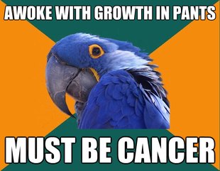 Paranoid Parrot
