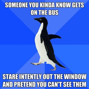 Socially Awkward Penguin