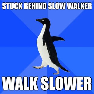 Socially Awkward Penguin
