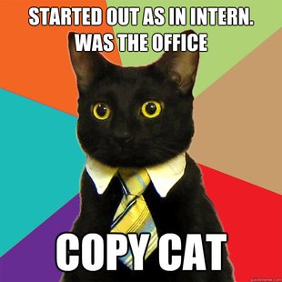 Business Cat