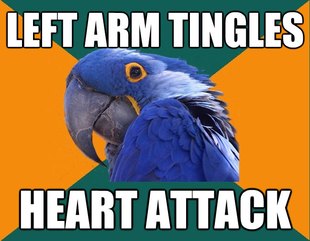 Paranoid Parrot