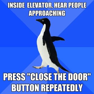 Socially Awkward Penguin