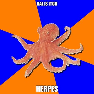 Online Diagnosis Octopus