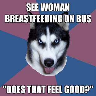 Creeper Canine