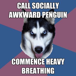 Creeper Canine