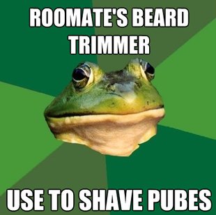 Foul Bachelor Frog