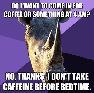 Sexually Oblivious Rhino