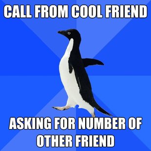 Socially Awkward Penguin
