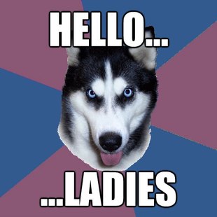 Creeper Canine
