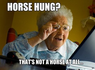 Grandma finds the Internet