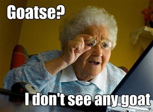 Grandma finds the Internet