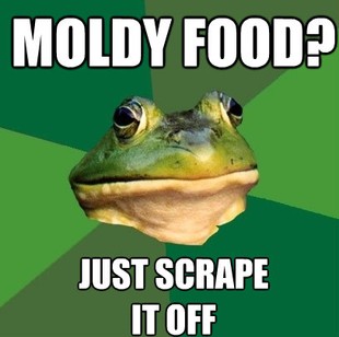 Foul Bachelor Frog