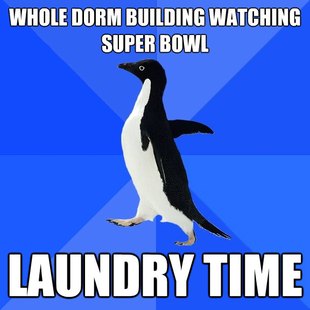 Socially Awkward Penguin
