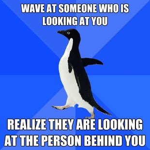 Socially Awkward Penguin