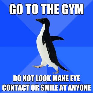 Socially Awkward Penguin