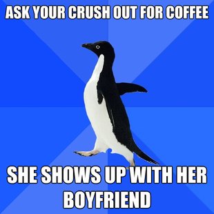 Socially Awkward Penguin