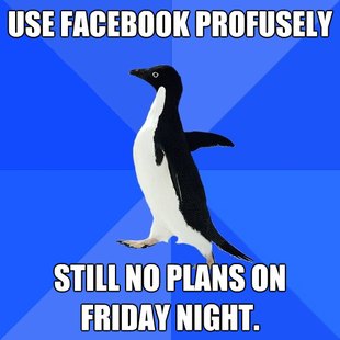 Socially Awkward Penguin