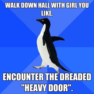 Socially Awkward Penguin