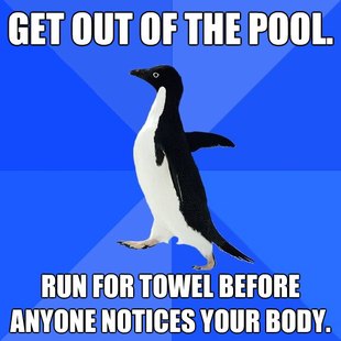 Socially Awkward Penguin
