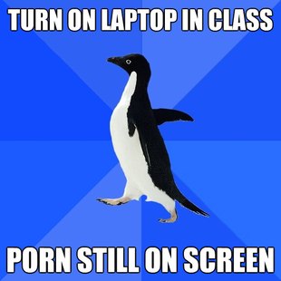 Socially Awkward Penguin