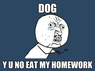Y U No