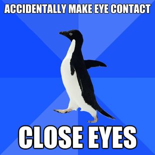 Socially Awkward Penguin