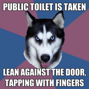 Creeper Canine